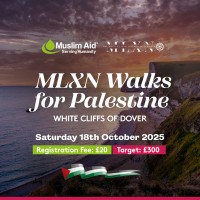 MLXN Walks for Palestine
