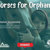 Horses4Orphans