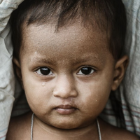 Udhiya/Qurbani to the Rohingya